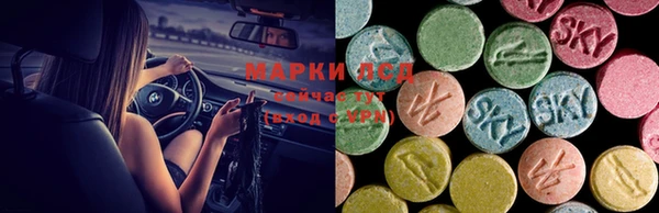 спайс Аркадак