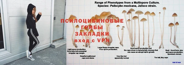 apvp Арсеньев