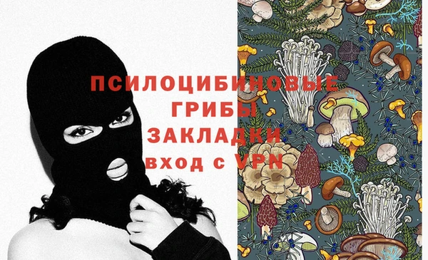 СК Магас
