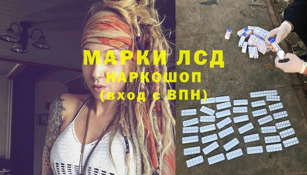 apvp Арсеньев
